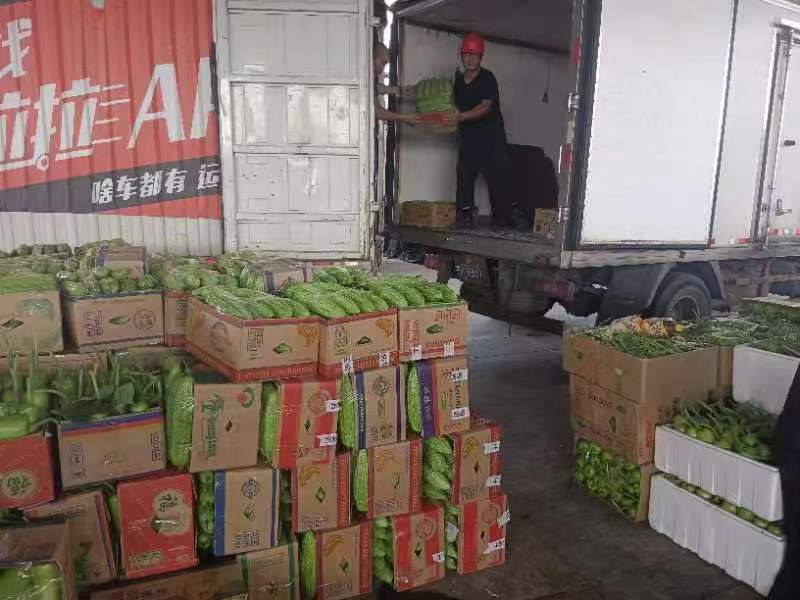 微信图片_20230608160144.jpg