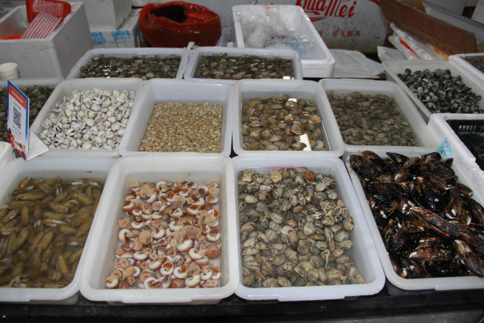 c27017b81a12373b81323f9022e2bf3b.jpg c27017b81a12373b81323f9022e2bf3b.jpg